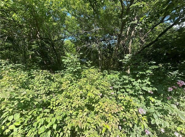 226 E Sugar Lake Drive, Mound City, KS 66056