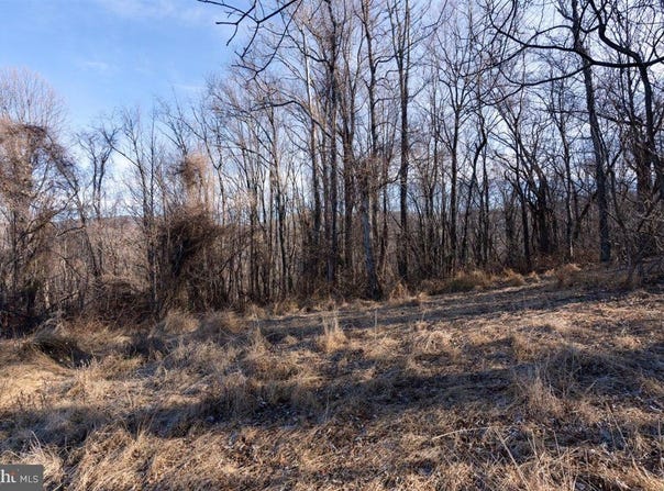 TBD OVERLOOK MOUNTAIN RD, ELKTON, VA 22827