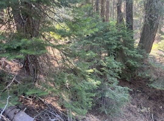 Ranch Rd., Alturas, CA 96101