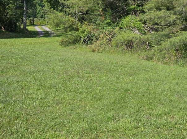 Cornbread Ridge Road, Princeton, WV 24940