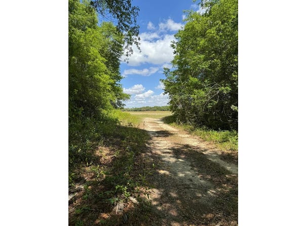 000 Highway 253, Donalsonville, GA 39845