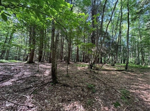 5757 St Hwy 7*, Oneonta, NY 13820