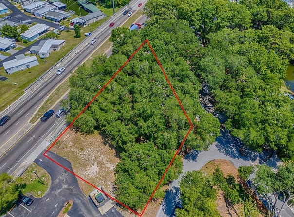 LION LANE, TAVARES, FL 32778