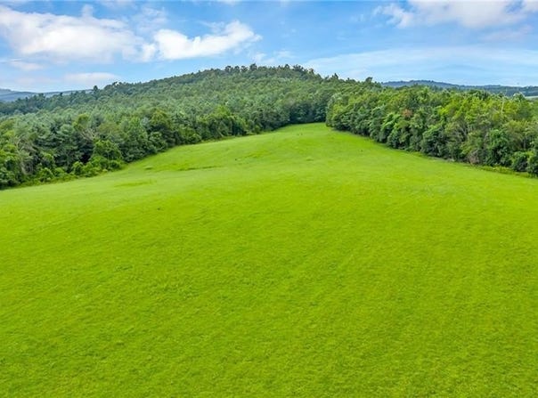 Murphy Bend Road, Ennice, NC 28623