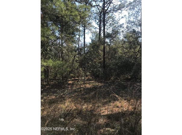 404 MOURNING DOVE Road, Satsuma, FL 32189