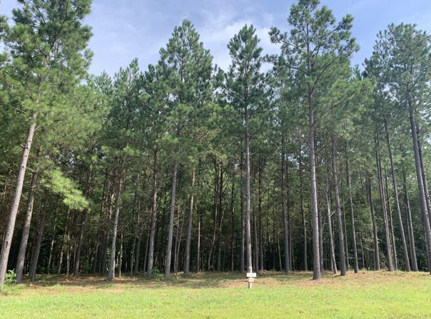5140 Crockett Point, Jasper, TN 37347