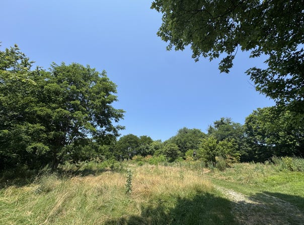 4681 US Highway 62, Mays Lick, KY 41055