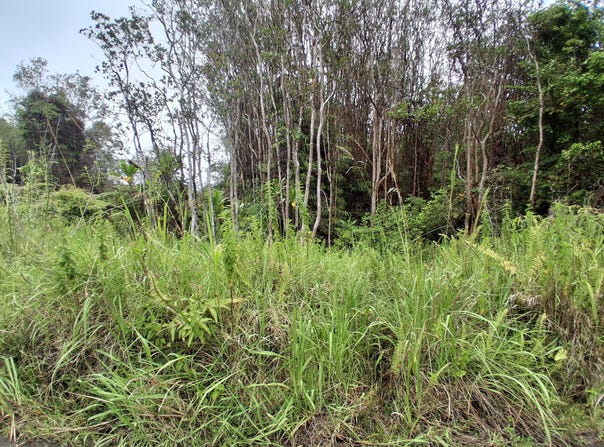 ROAD 7, Mountain View, HI 96771