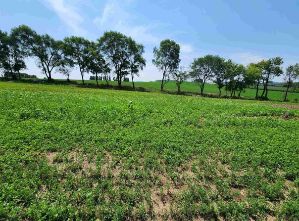 1206 Moll Drive, Waunakee, WI 53597