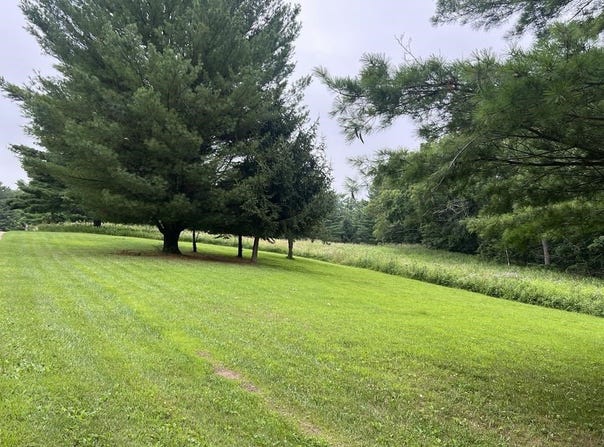 3.23 Acres Lot 76 & 77 Hawk Point Road, Ferryville, WI 54628