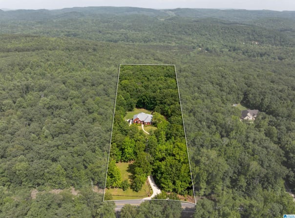 8881 PINE MOUNTAIN ROAD, PINSON, AL 35126