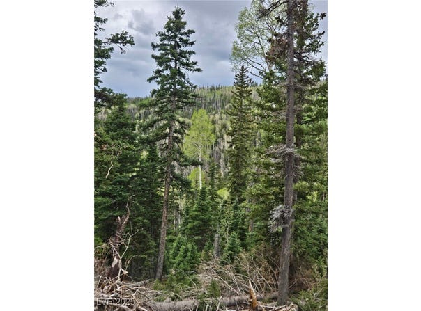 Lot 39 West Village, Beaver, UT 84713