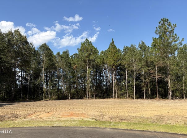 Summerour Road lot: 1, Lucedale, MS 39452