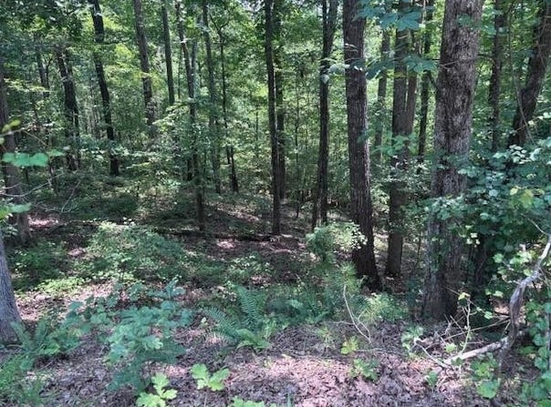 10090 Brazell Road, Chattahoochee Hills, GA 30213