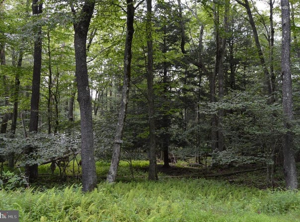 LOT 256 AZALEA LN, TERRA ALTA, WV 26764