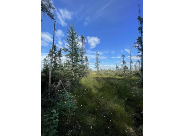 SWAMP ROAD, Tomahawk, WI 54487