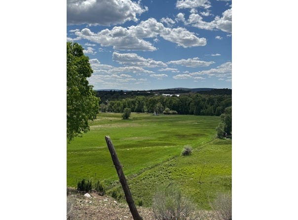 Highway 514, Los Ojos, NM 87551
