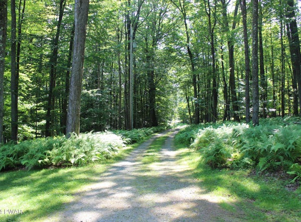 Briar Hill Drive, Paupack, PA 18438