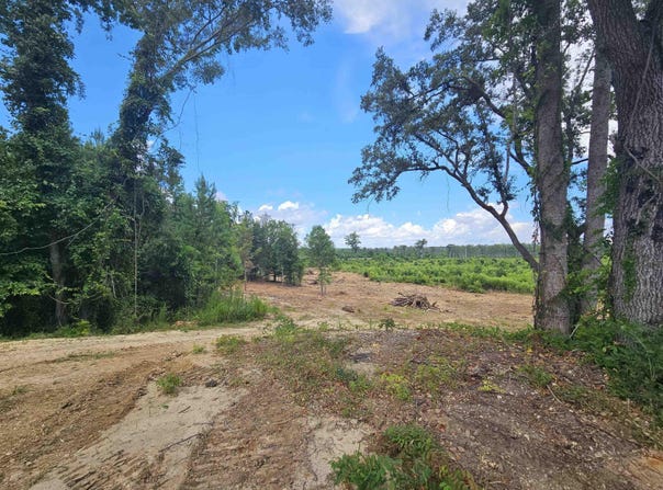 157 Mingo Chandler Rd., Nesmith, SC 29580