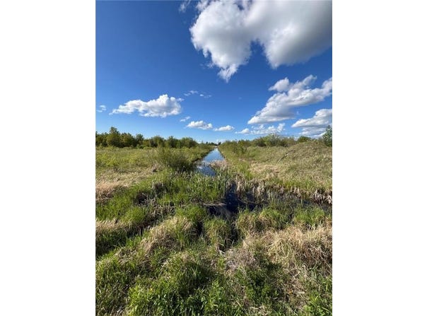 Tbd 39th Street SE, Baudette, MN 56623