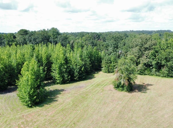 0 Orlea Ln, Tuscaloosa, AL 35475