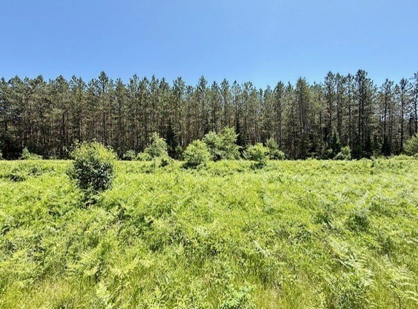 Lot 59 Brook Lane, Hayward, WI 54843
