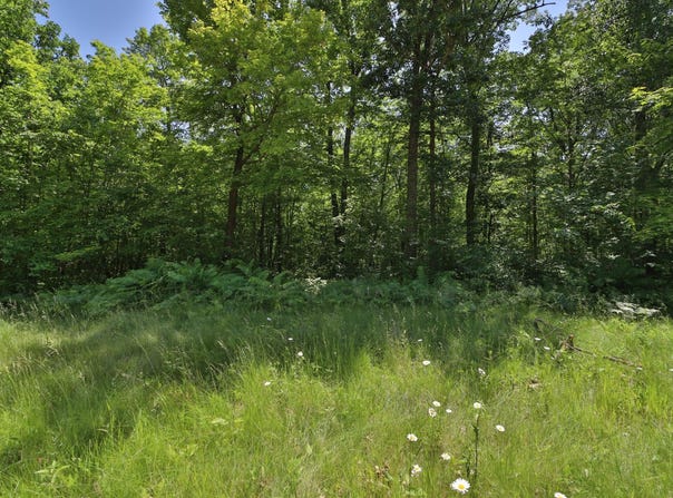 Tract D Olander Road, Crosby, MN 56441
