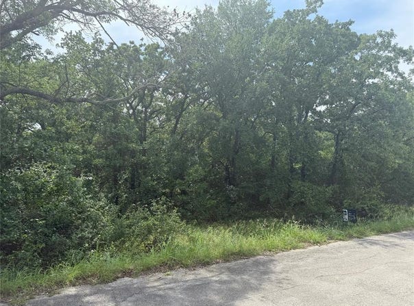 103 Timber Trail, Runaway Bay, TX 76426