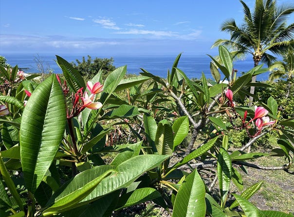 KAOHE RD, Captain Cook, HI 96704
