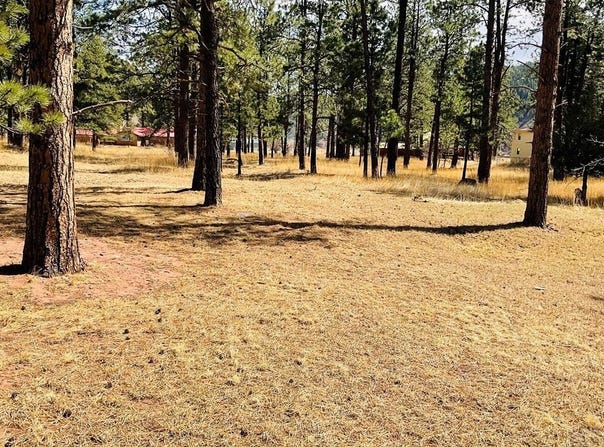 Stonewall, CO 81091