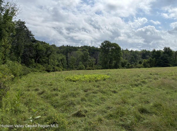 Punsit Road, Austerlitz, NY 12017