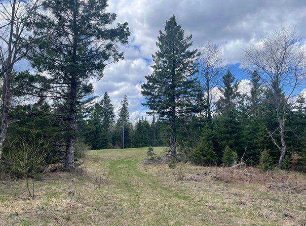 ON POCIASK RD, Butternut, WI 54514