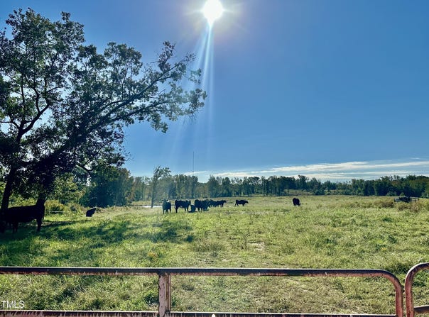 Lot 1 Jones Road, Hurdle Mills, NC 27541