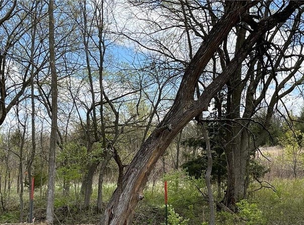 S Roosevelt Street, Spring Hill, KS 66083