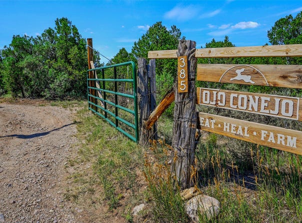 385 CR 73, Ojo Sarco, NM 87521