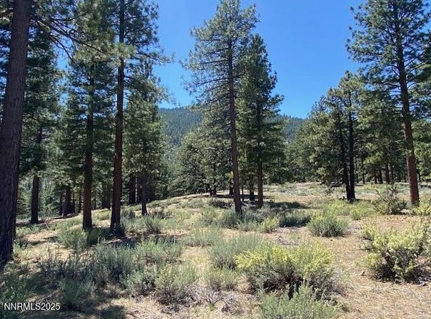 3355 Golf Club Drive unit: 97, Carson City, NV 89705