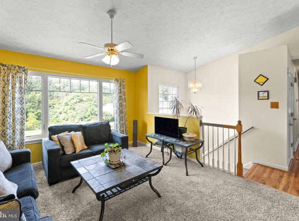110 HILL VALLEY DRIVE, WINCHESTER, VA 22602