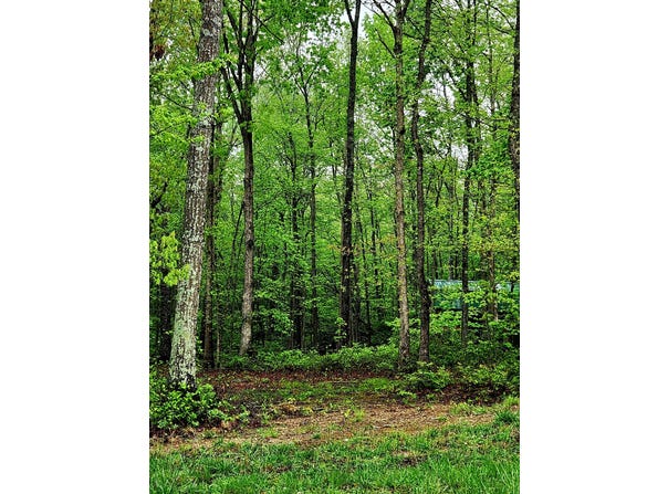 200 Salolee Circle, South Pittsburg, TN 37380