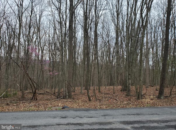 WALNUT RIDGE ROAD, OLDTOWN, MD 21555