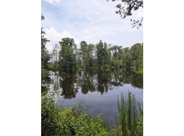 928 MT. Pleasant CH. Rd., Pearson, GA 31642
