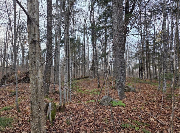 OFF FOREST ROAD 3979, Watersmeet, MI 49969