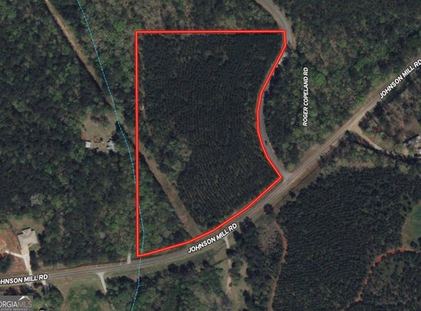 11.02 Ac Johnson Mill, Hamilton, GA 31811