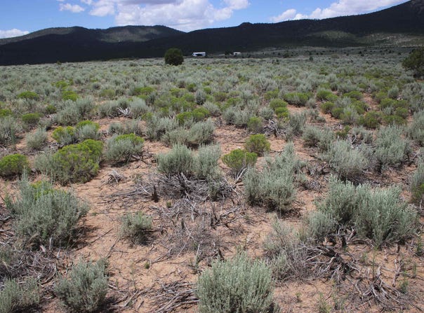 Shirley Drive lot: D, Questa, NM 87556