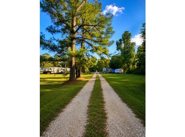 1109 Arnold drive, Pine Hill, AL 36769