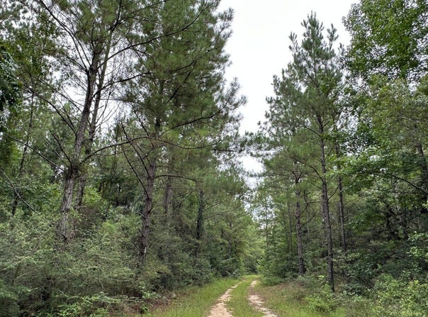 0 Babe Fairley Road, Wiggins, MS 39577