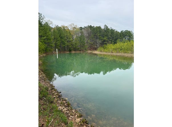 00 Bloomfield Road, Preston, MS 39354