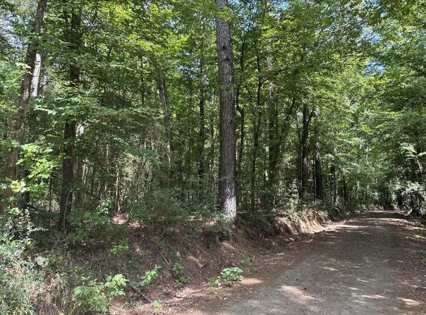 967 County Road 2603, Shelbyville, TX 75973
