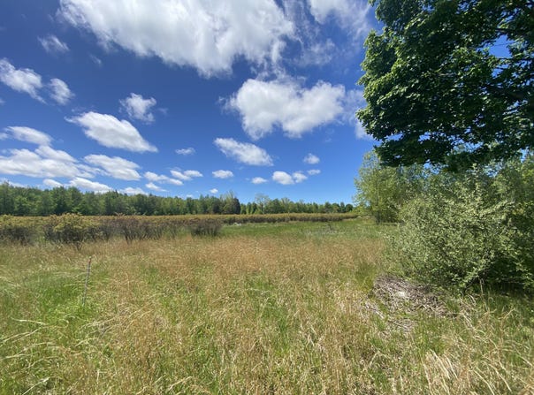 62nd Street, Grand Junction, MI 49056