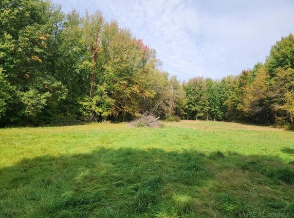 5967 Taylor, Hudson, MI 49426-9714