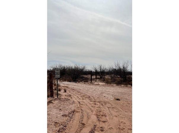 SW CR 389, Grandfalls, TX 79742